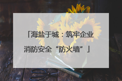 海盐于城：筑牢企业消防安全“防火墙”