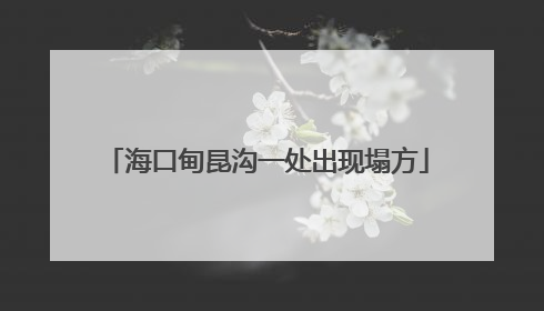 海口甸昆沟一处出现塌方