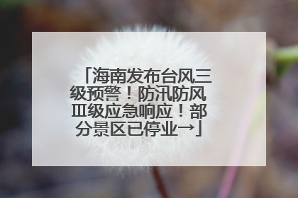 海南发布台风三级预警！防汛防风Ⅲ级应急响应！部分景区已停业→