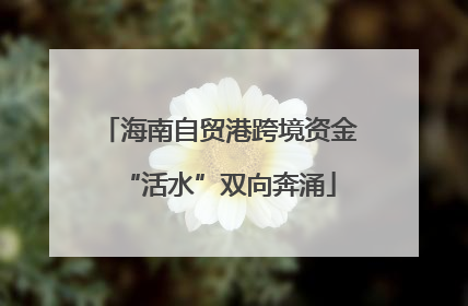 海南自贸港跨境资金“活水”双向奔涌