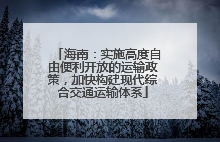 海南：实施高度自由便利开放的运输政策，加快构建现代综合交通运输体系