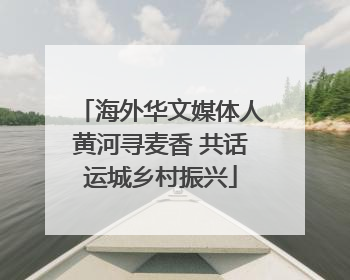 海外华文媒体人黄河寻麦香 共话运城乡村振兴
