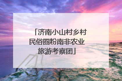 济南小山村乡村民俗圈粉南非农业旅游考察团