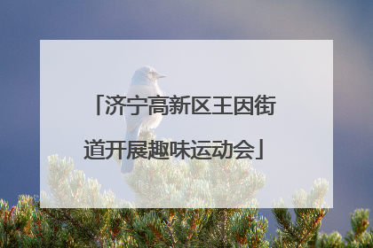 济宁高新区王因街道开展趣味运动会