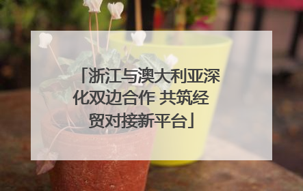 浙江与澳大利亚深化双边合作 共筑经贸对接新平台