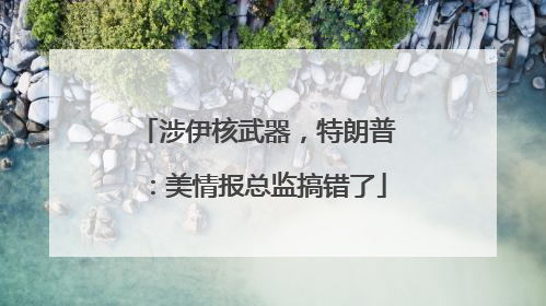 涉伊核武器，特朗普：美情报总监搞错了