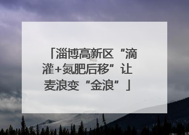 淄博高新区“滴灌+氮肥后移”让麦浪变“金浪”