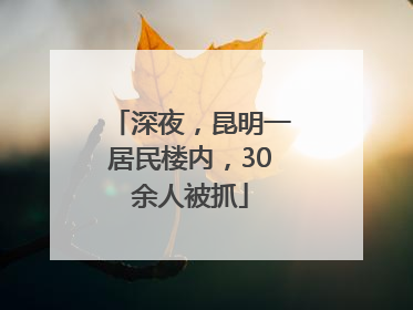 深夜，昆明一居民楼内，30余人被抓