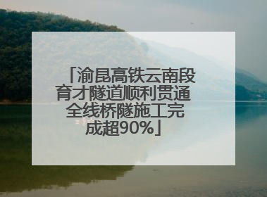 渝昆高铁云南段育才隧道顺利贯通 全线桥隧施工完成超90%