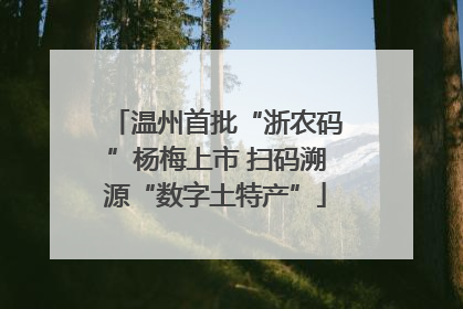 温州首批“浙农码”杨梅上市 扫码溯源“数字土特产”