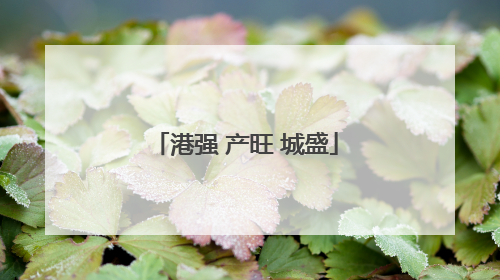 港强 产旺 城盛