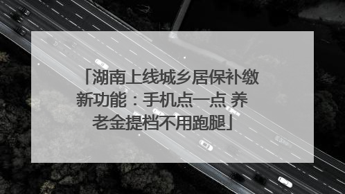 湖南上线城乡居保补缴新功能：手机点一点 养老金提档不用跑腿