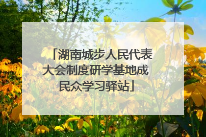 湖南城步人民代表大会制度研学基地成民众学习驿站
