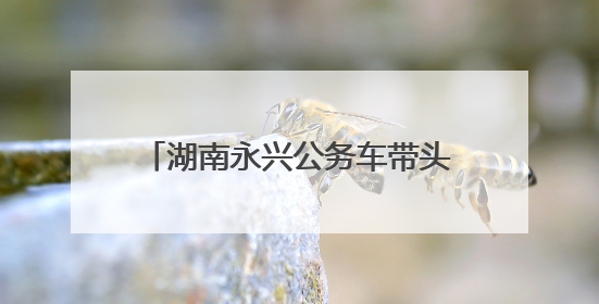 湖南永兴公务车带头跑出低碳出行新风景
