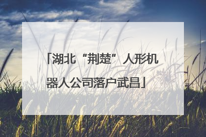 湖北“荆楚”人形机器人公司落户武昌