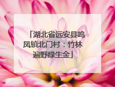 湖北省远安县鸣凤镇北门村：竹林遍野绿生金