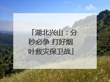 湖北兴山：分秒必争 打好烟叶救灾保卫战