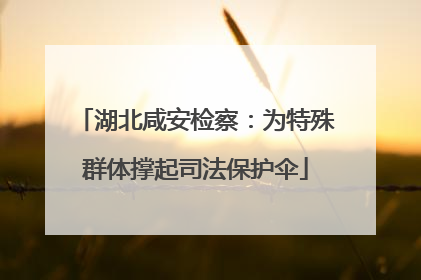 湖北咸安检察：为特殊群体撑起司法保护伞