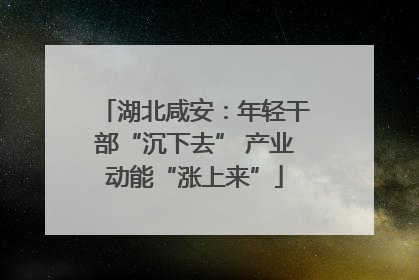 湖北咸安：年轻干部“沉下去” 产业动能“涨上来”
