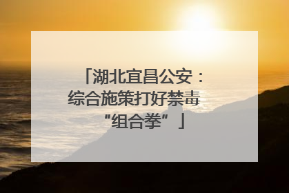 湖北宜昌公安：综合施策打好禁毒“组合拳”