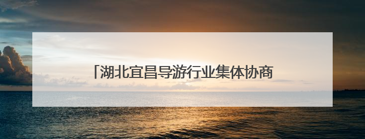 湖北宜昌导游行业集体协商落地 带团补贴标准提升