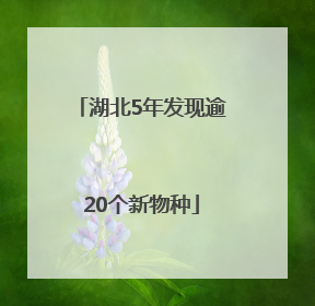 湖北5年发现逾20个新物种