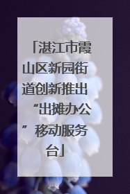 湛江市霞山区新园街道创新推出“出摊办公”移动服务台