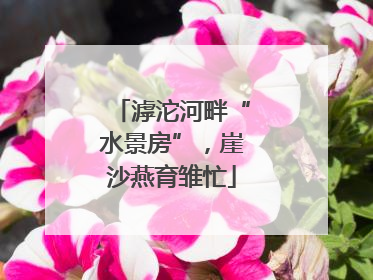 滹沱河畔“水景房”，崖沙燕育雏忙
