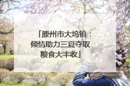 滕州市大坞镇：倾情助力三夏夺取粮食大丰收