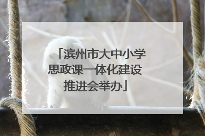 滨州市大中小学思政课一体化建设推进会举办