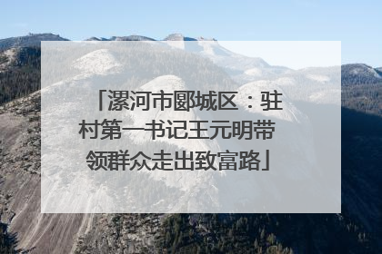 漯河市郾城区：驻村第一书记王元明带领群众走出致富路