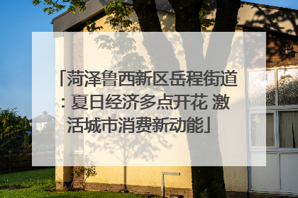 菏泽鲁西新区岳程街道：夏日经济多点开花 激活城市消费新动能