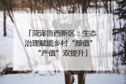菏泽鲁西新区：生态治理赋能乡村“颜值”“产值”双提升