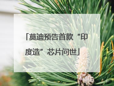 莫迪预告首款“印度造”芯片问世