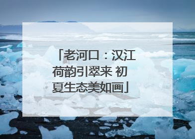 老河口：汉江荷韵引翠来 初夏生态美如画