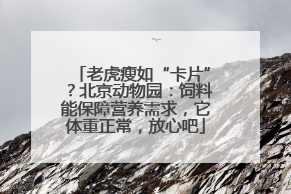 老虎瘦如“卡片”？北京动物园：饲料能保障营养需求，它体重正常，放心吧