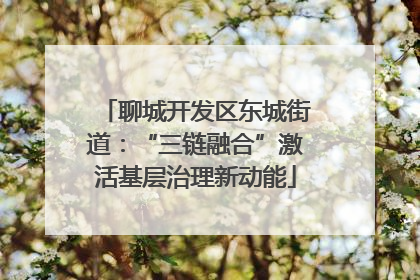 聊城开发区东城街道：“三链融合”激活基层治理新动能