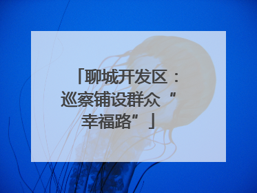 聊城开发区：巡察铺设群众“幸福路”
