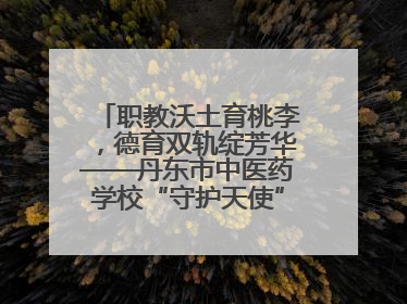 职教沃土育桃李，德育双轨绽芳华——丹东市中医药学校“守护天使”名班主任工作室德育实践之路