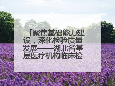 聚焦基础能力建设，深化检验质量发展——湖北省基层医疗机构临床检验质量控制培训班（孝感站）成功举办