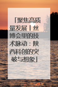 聚焦高质量发展丨丝博会里的技术脉动：陕西科创的突破与想象
