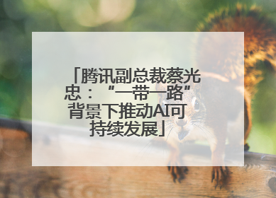 腾讯副总裁蔡光忠：“一带一路”背景下推动AI可持续发展