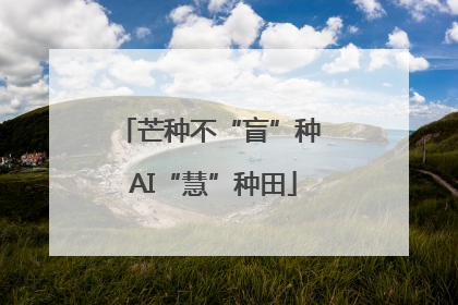 芒种不“盲”种 AI“慧”种田