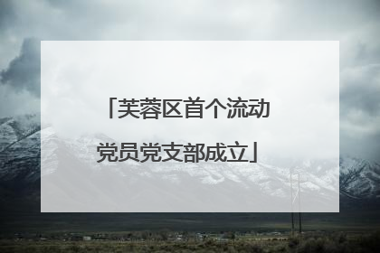 芙蓉区首个流动党员党支部成立