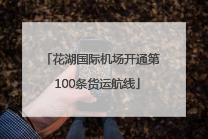花湖国际机场开通第100条货运航线