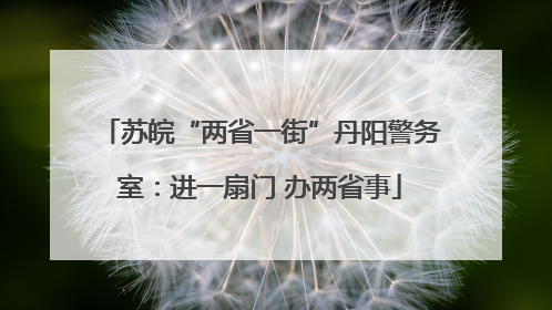 苏皖“两省一街”丹阳警务室：进一扇门 办两省事