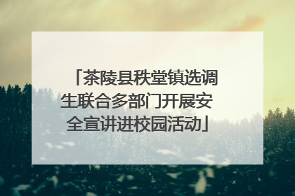 茶陵县秩堂镇选调生联合多部门开展安全宣讲进校园活动