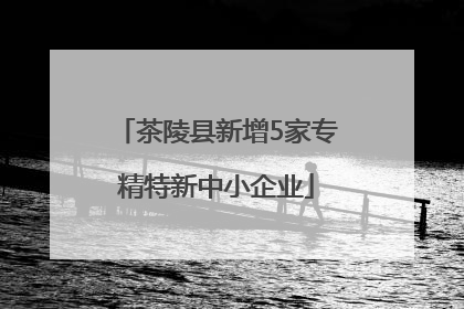 茶陵县新增5家专精特新中小企业