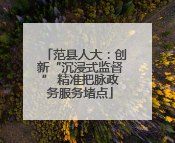 范县人大：创新“沉浸式监督” 精准把脉政务服务堵点