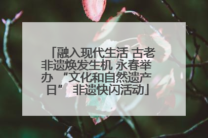 融入现代生活 古老非遗焕发生机 永春举办 “文化和自然遗产日” 非遗快闪活动